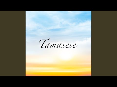 Tamasese