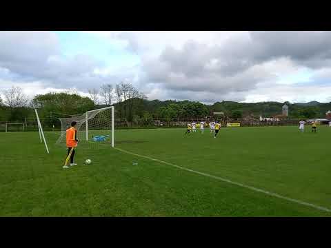 Gol Darius Leucian in Aurul Brad - Fortuna Becicherecu Mic