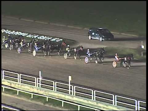 Trotto 16/11/2014 - 7° corsa