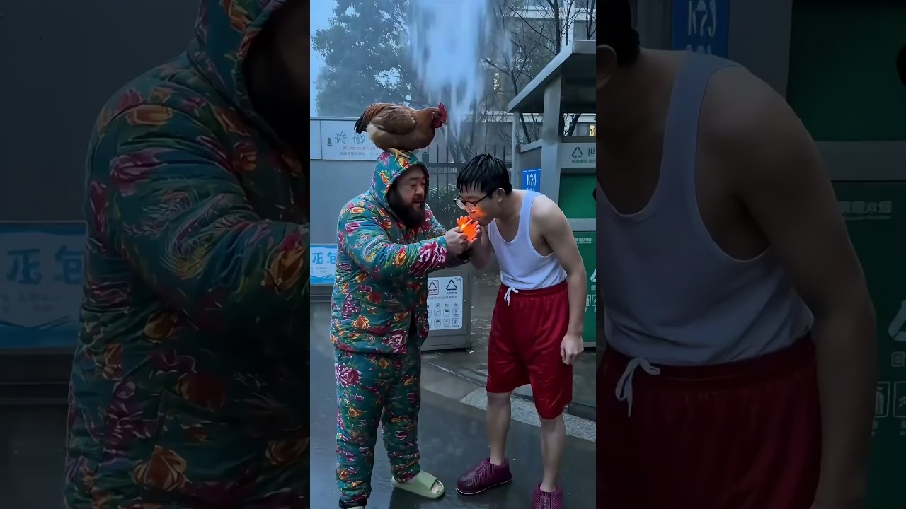 #exlittlebeans and its companions. #funnyvideos #funnycats