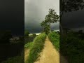 Rainy Weather Status Rain Status Video WhatsApp Status Rain Status Weather