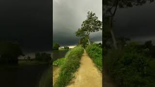 Rainy Weather Status  Rain Status Video  WhatsApp 