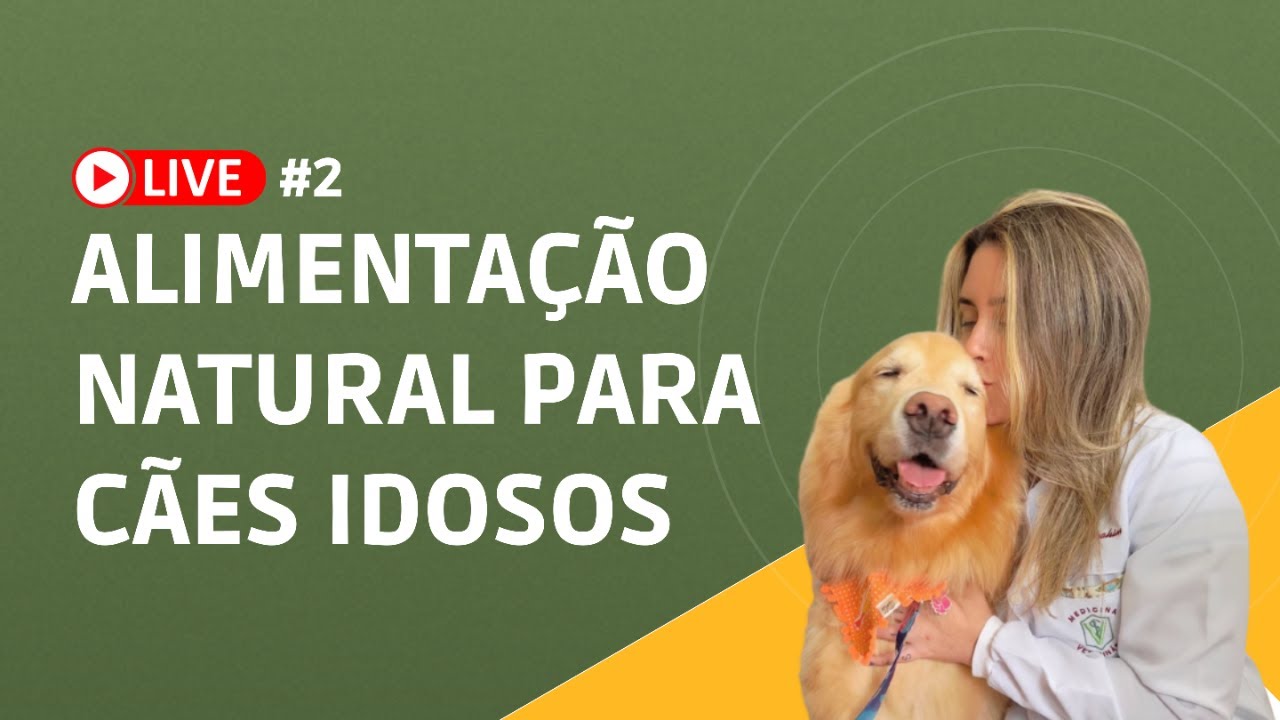 Alimentação natural para cães idosos - MSCR #02