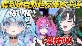 一聽到「豬」千速立刻起了反應，最後還真的被當成了豬ww【綺綺羅羅Vivi/水宮樞/輪堂千速】【ホロライブ切り抜き】【HOLOLIVE中文】