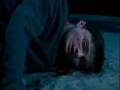 Hedwig S Theme Harry Potter Theme Song Hard Rock Version Ootp