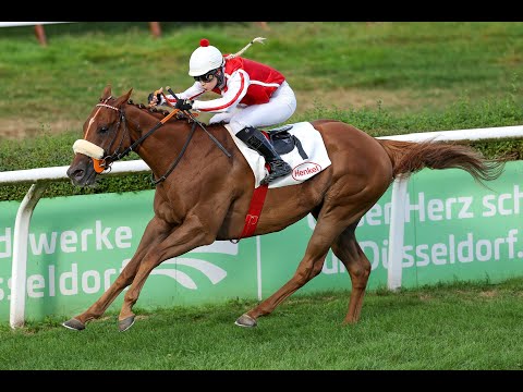 Brauerei im Füchschen Rennen