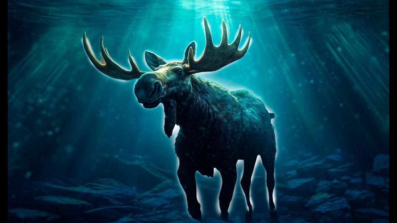 por que tem tantos ALCES no FUNDO DO MAR?