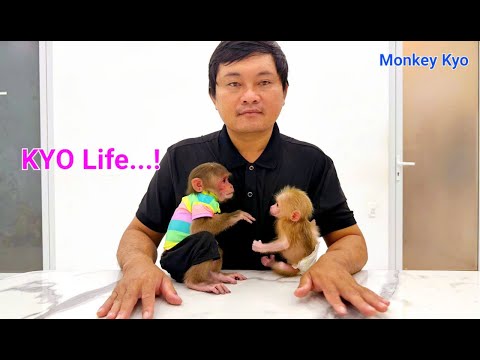 Sweet moment between Monkey Kyo, baby BuNa and their special Dad! 💕
