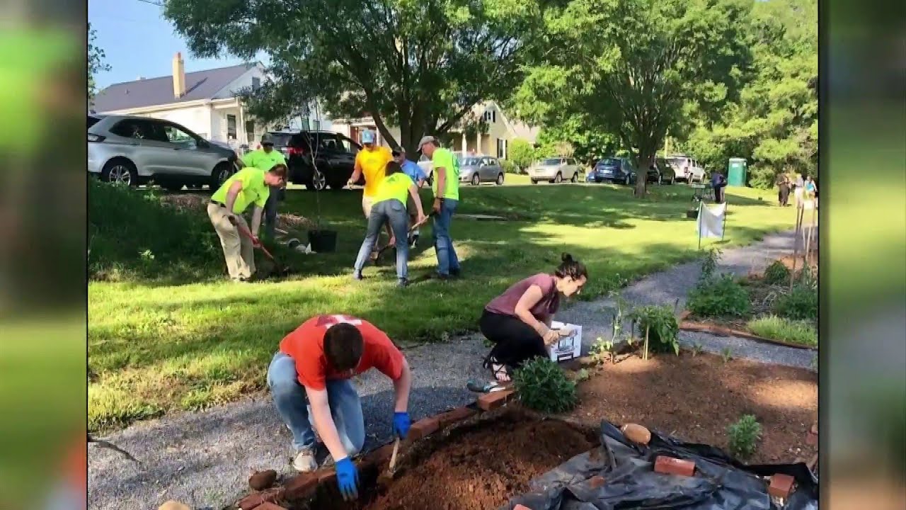 Two organizations fight food insecurity, earn Community Impact Hero Award