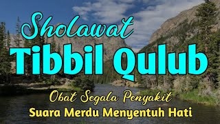 Download lagu SHOLAWAT TIBBIL QULUB MERDU FULL 10 JAM TANPA MUSIK,SHOLAWAT PENYEJUK HATI PENYEMBUH SEGALA PENYAKIT mp3