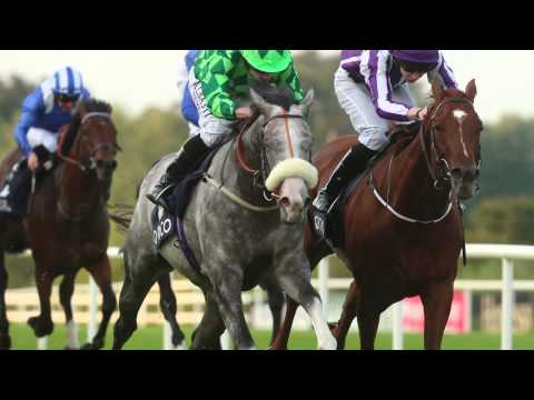 AP McCoy on Prince of Wales's Stakes - 4:20 Royal Ascot