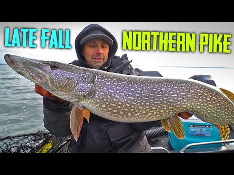 Casting Lures And Live Bait Fall Pike Fishing