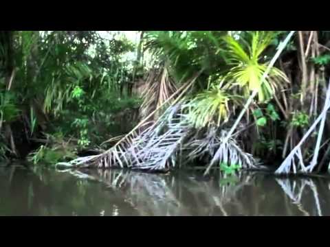 JBL Expedition 2012: Nicaragua