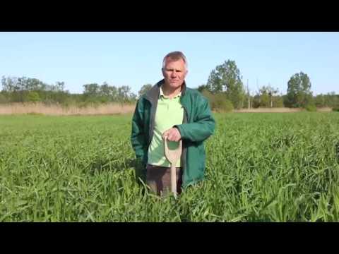 Friedrich Wenz über die Regenerative Landwirtschaft