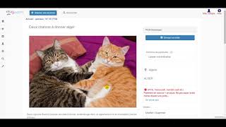 Top Meilleures Alternatives à Wannonce.com pour trouver des annonces 📝
