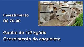 Miniatura do vídeo