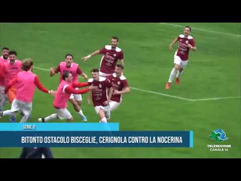 SERIE D Bitonto ostacolo Bisceglie, Cerignola contro la Nocerina TG Teleregione 13 11 2021