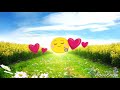 Tu Dharti Pe Chae Hindi Status Video For WhatsApp