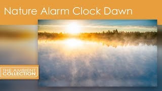 Dawn Chorus From The Nature Alarm Clock DVD