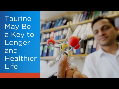 Taurine May Be a Key to Longer and Healthier Life