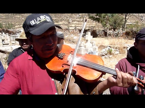 QANTUCHA DE PARINACOCHAS EN UPAHUACHO