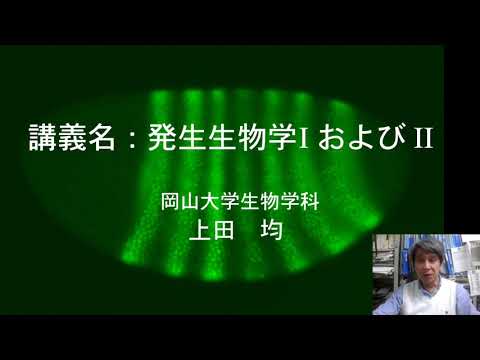 理学部生物学科講義紹介・発生生物学