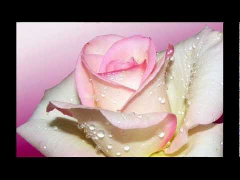 HAppy Birthday Antonela !