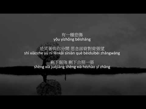 A Lin - A Kind of Sorrow Pinyin Lyrics 有一種悲傷歌詞