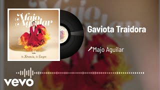 Gaviota Traidora Music Video