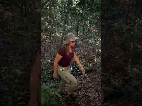 Terreno en venta, en la ciudad de Valenzuela, departamento de Cordillera