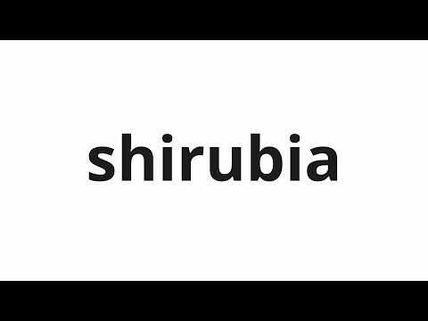 How to pronounce shirubia | シルビア (Sylvia in Japanese)