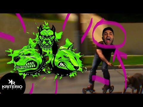 PITBULL TERRIER BIRY - Perro Primo ❌ L-Gante ❌ DT.Bilardo