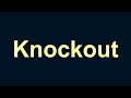 Lil Wayne - Knockout (Lyrics)