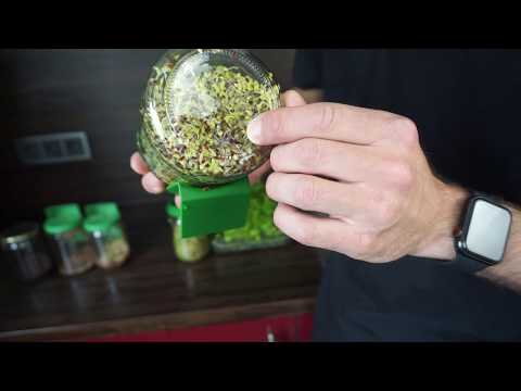 ► Brokkolisprossen mit Wurzel essen? - Hier erfährst du es! ◄