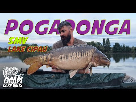 Pogadonga Pescuit La Punct Fix - SMV Lake Cipau standul 31 4K