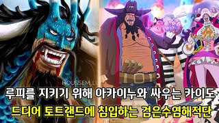 [원피스 1049화 심층분석]조이보이 루피를 지키기 위해 아카이누와 싸우는 카이도 그리고 드디어 토트랜드에 침입하는 검은수염해적단