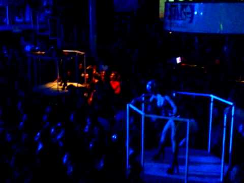 Solitary Experiments - Immortal  (VDMAS)