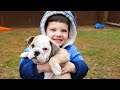 Caleb And Funny Puppy Play Hide And Seek Outside Pretend Play