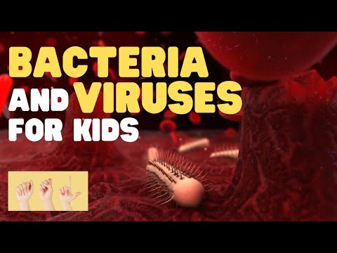 ASL Bacteria and Viruses for Kids