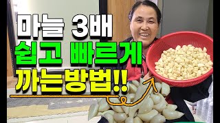 마늘 제일 쉽게까는법 이것만 있으면 아주간단합니다