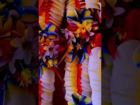 TAGI TE LOTO ( FATELE VAITUPU ) 2024