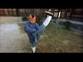 The Legend Of The Red Dragon KID KUNG FU