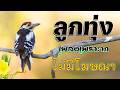 ลูกทุ่งเพลงเพราะมาก : รวมเพลง ลูกทุ่งฮิตที่สุด ฟังต่อเนื่อง ไม่มีโฆษณา #เบสแน่น#เบสหนัก#ลูกทุ่ง
