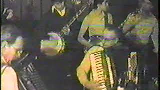 Barabara Stampfl video