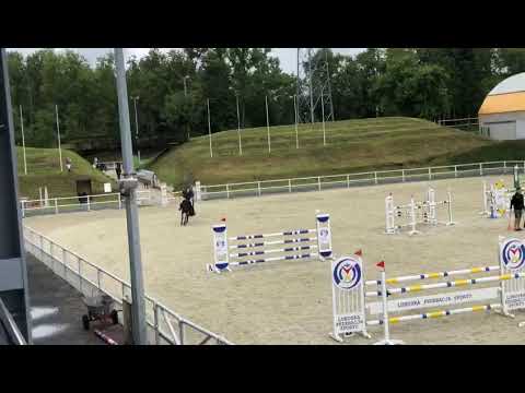 Villena (Elvaro x Vigaro) 2021/08/27 CSN Drzonków - MR 120 cm I SPRZEDANA / SOLD