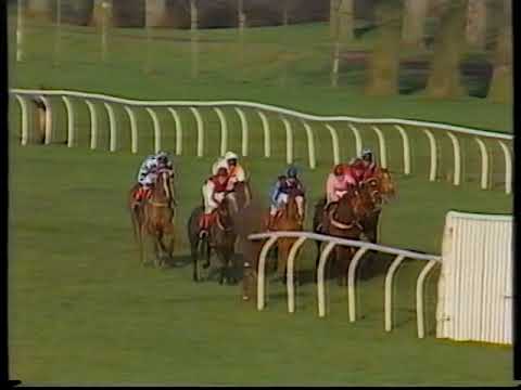 1988 Christmas Hurdle Kribensis + Replay