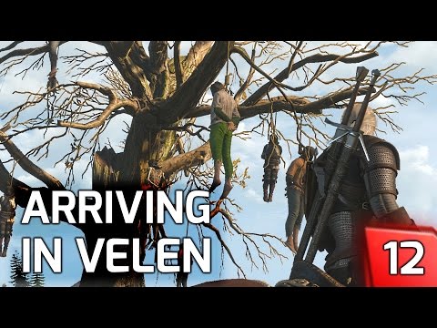 Witcher 3: Velen: The Nilfgaardian Connection and why Witchers use 2 Swords #12 [PC]