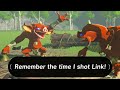 Remember the Time I Shot Link! (Zelda Short)