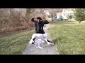 Street Fighter 3rd Strike I Just Found TWELVE