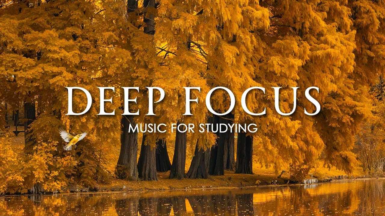 Deep Focus Music To Improve Concentration - 12 Hours of Ambient Study Music to Concentrate #936